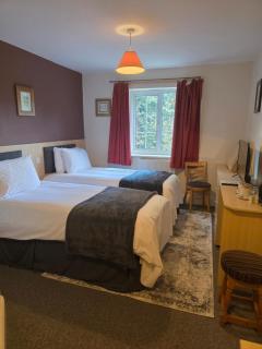 The Punchbowl Inn - Thorne - 9