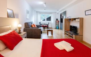 Modern studio in Arinsal of 40 m² with mountain view - 1