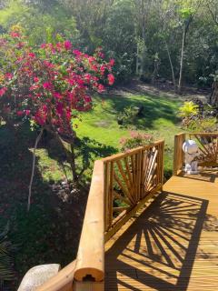 Appartement avec vue jardin à Deshaies 80 m² avec piscine - 7