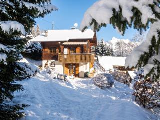 Chalet spacieux à Saint-Gervais-les-Bains avec vue montagne - 2