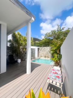 Stylish villa with private pool in Koolbaai - 7