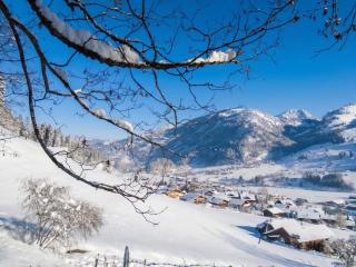 Bright Apartment with Balcony in Zweisimmen 100 m² - Zweisimmen - 3