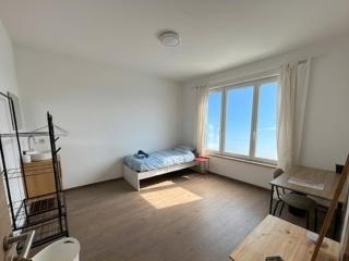 6 Bedroom House near Charleroi Ideal for Teams - 1