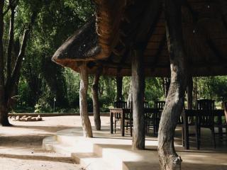 Wildlife Camp - 4