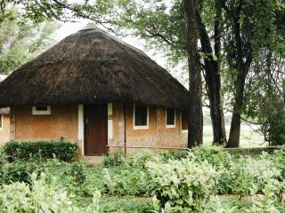 Wildlife Camp - 3