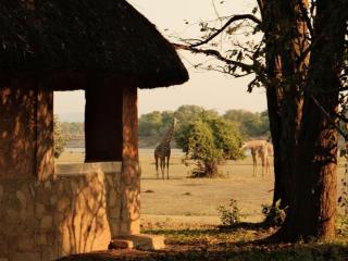 Wildlife Camp - 6
