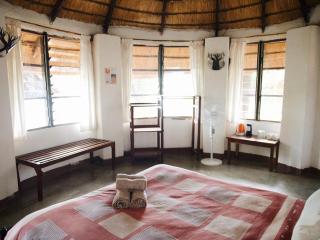 Wildlife Camp - 8