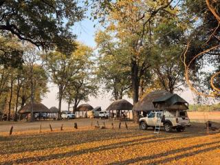 Wildlife Camp - 0