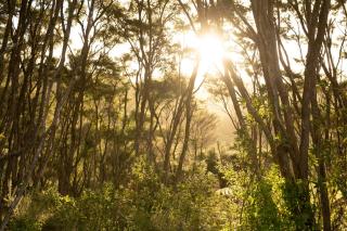 Tarata Eco Retreat Cabin - 7