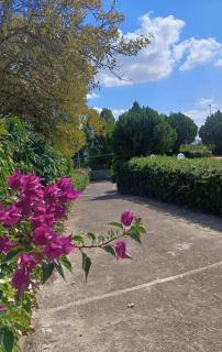Santo Spirito Rooms - 0