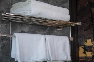 Hanoi Ensora Hotel and Spa - 9