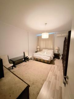 Luxury apartment next to Sheraton Hotel and the Nile - 1