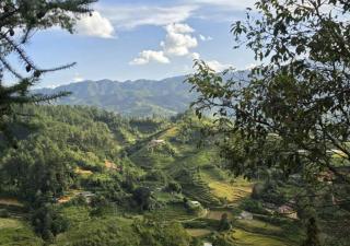 Osima Villas Mu Cang Chai -  - 1