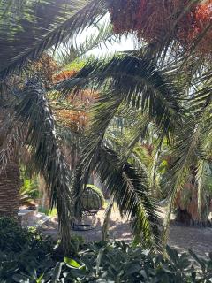 Villa Riviera w Lounge w Sea View , Private SPA, Indoor, Outdoor Pool - 8