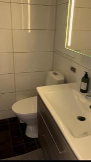Ski inn ut midt i Trysil sentrum - 2