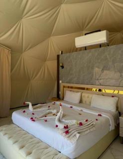 Ariana Luxury Camp - 1