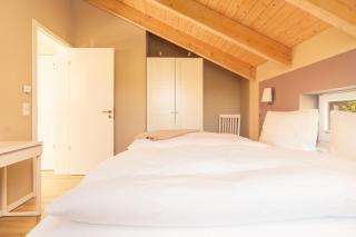 Haus-Buche - 6