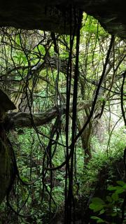 Stonehaven North Sumatra - A Unique Jungle stay Beneath the Rocks & only jungle trekking with us - 1