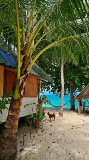 Freedom bungalow beach - 0