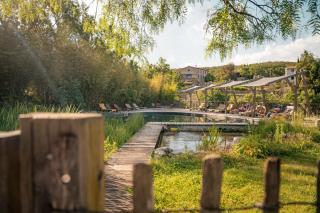 Domaine Riberach - Hotel 4 - Restaurant gastronomique - Spa - Piscine - Vignoble - 1