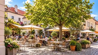 Top Appartement für Business-Wohnen-Urlaub - 1