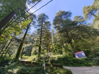 Winterstone studio - 3