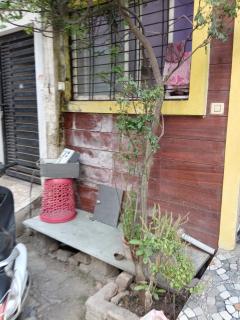 Annapurna homestays - 2