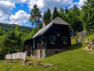 Ferienhaus Festenburg Waldidylle mit Lagerfeuer & Naturerlebnis - 0