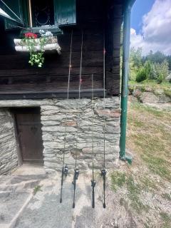 Ferienhaus Festenburg Waldidylle mit Lagerfeuer & Naturerlebnis - 8