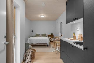 Lovely studio for two, near northern lights spot - 8