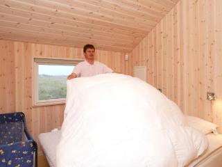 5 star holiday home in Rødby - 8