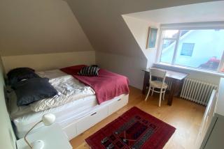 Family Friendly House by Laugardalur - Birta Rentals - 3