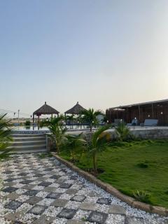 Aquarose - 0