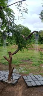 Iththakema Rainbow Tree house, Cabanas & Yala Gateway - 7