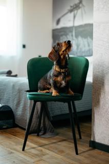 CITYMAP HOTEL APARTMENTS Maribor-Free parking! - 5