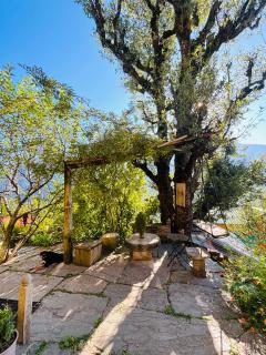 THE SHANDILYA Himalayan Reatret - 8