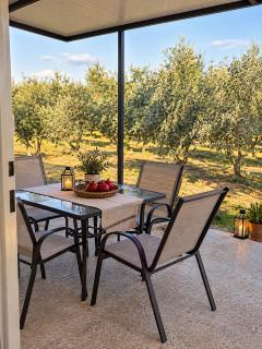 Olive Grove Retreat Podgorica - 5