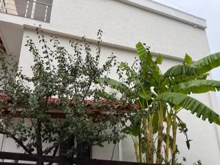Hotel Venix - 4