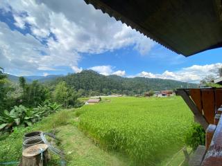 pedo Homestay2 -  - 8