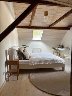 LILLE cottage Liberec - 5