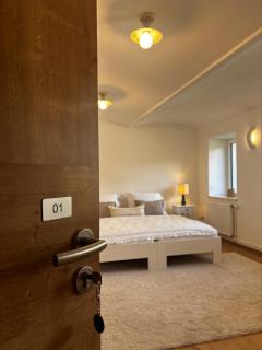 LILLE cottage Liberec - 4