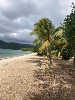 Surrounded by coconut trees, beach 500 m away, sea view - 7