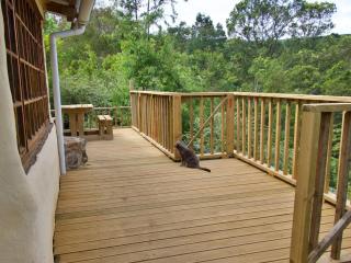 The Fox Den - Earthen home with mountain views - 5