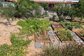 Green Villa Seafront - 1