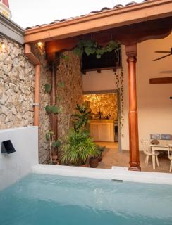 Central Park Luxurious Historical Home With Pool - 1