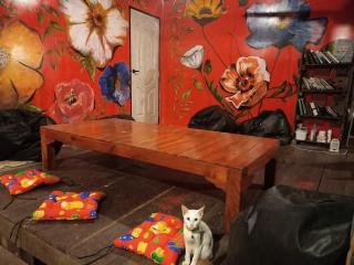 Little Boy House - 5