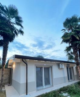 Residenza Le Palme - 8