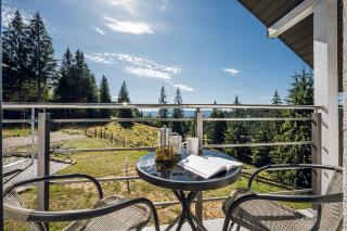 Lidia chalets - 1