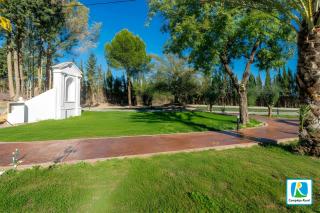 Cubo's NAZ Country Resort - 4