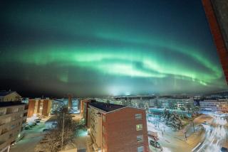Studio B56 - Balcony Northern Sky - Buyck - 8